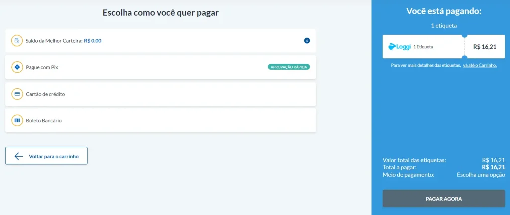 Escolha a forma de pagamento desejada e clique em “pagar agora”.