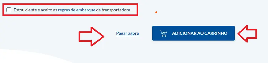 Caso você queira continuar gerando mais etiquetas de frete, clique em “adicionar ao carrinho”. Mas se preferir pagar apenas a etiqueta já gerada, escolha “pagar agora”.