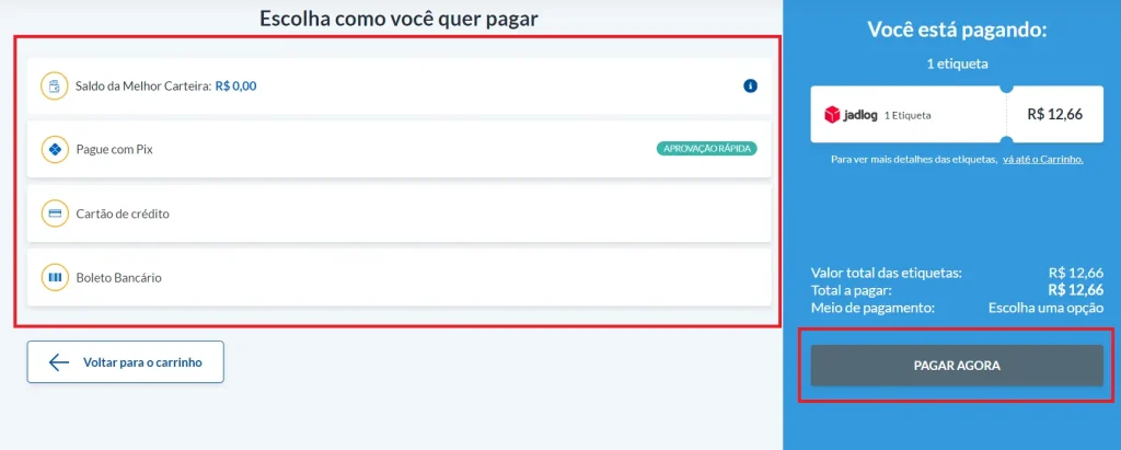 Escolha a forma de pagamento desejada e clique em “pagar agora”.