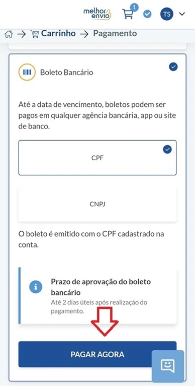 Passo 7 - Por fim, escolha a opção de pagamento desejada (Pix ,saldo da melhor carteira, cartão de crédito ou boleto) e clique em “pagar agora”.